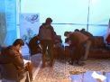 گزارش تصویری   از بازدیدگنندگان سومین روز   نمایشگاه دستاورد های هسته ای